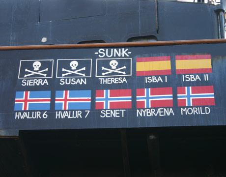 seashepherd seashepherd