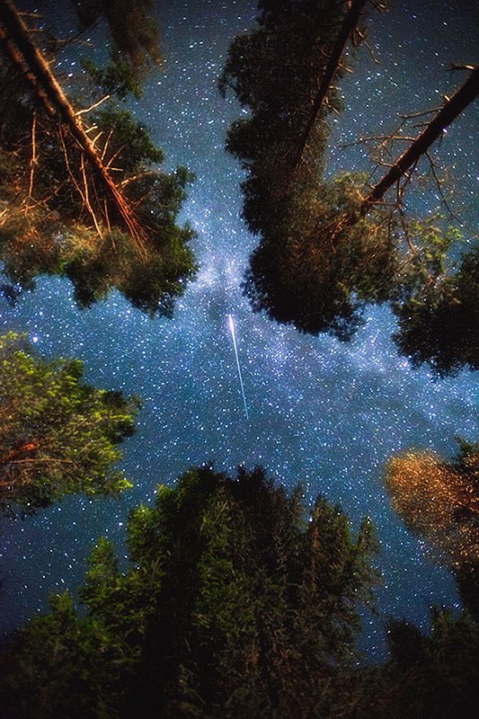 shooting star edsbyn sweden