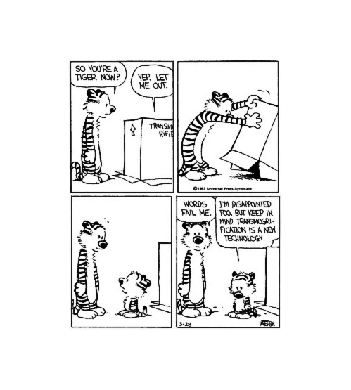 calvin and hobbes