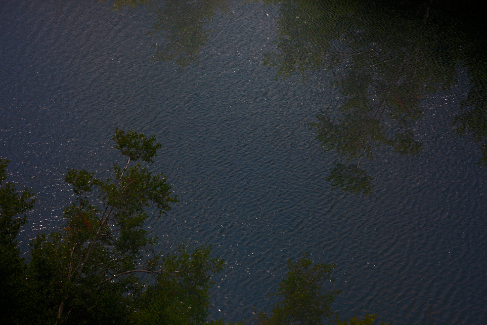 yumna trees lake