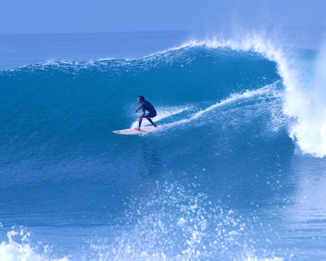 surf wave