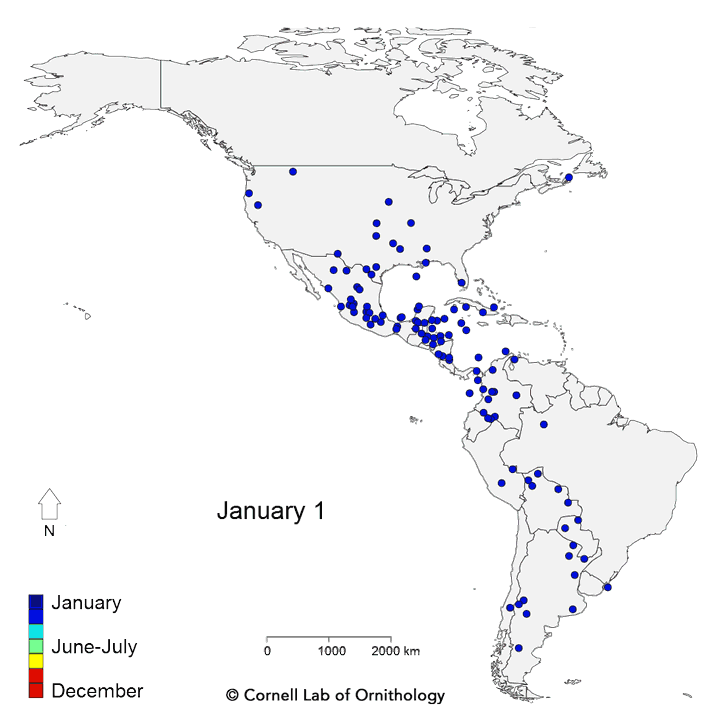 bird migration la-sorte-map-118-spp-64-725